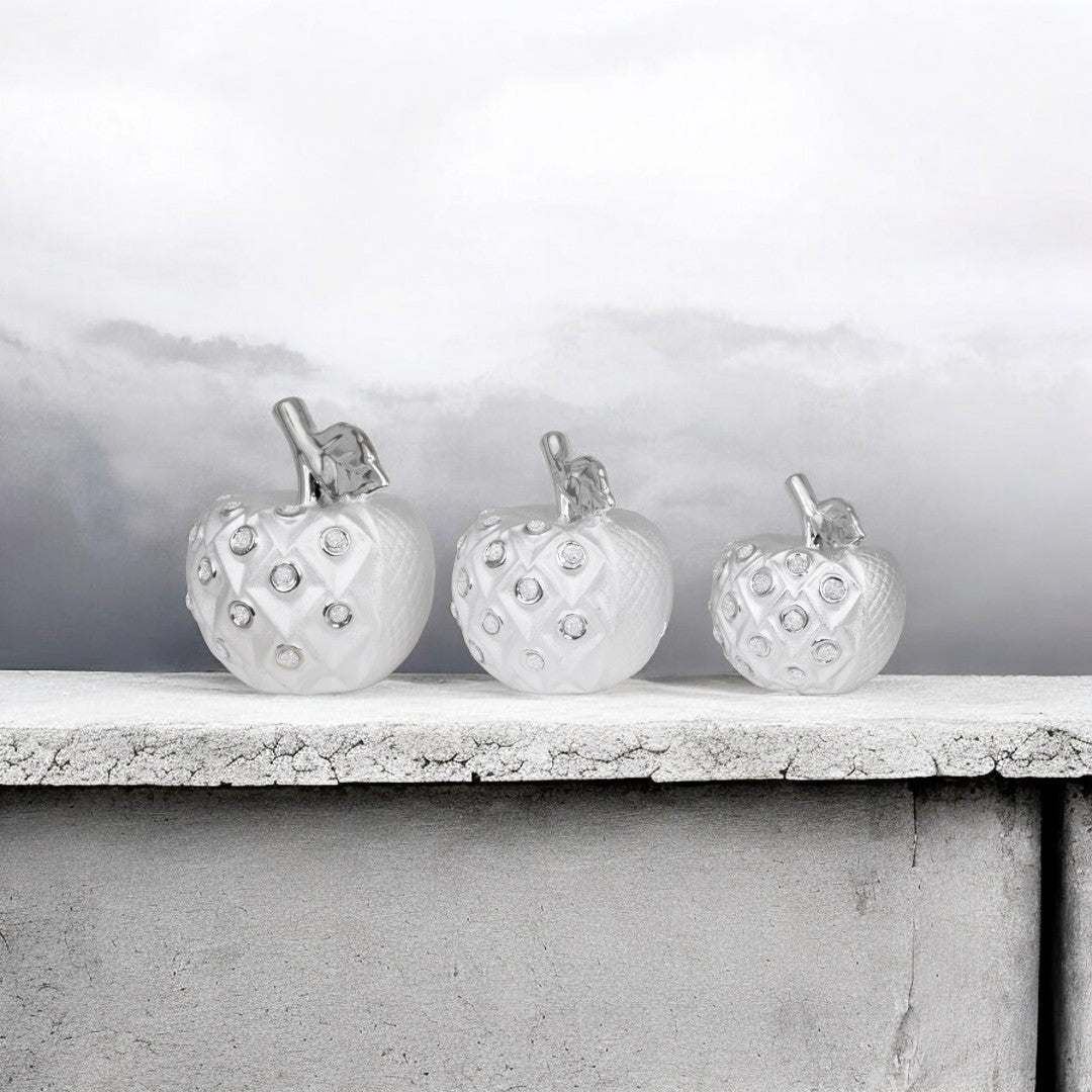 3pc Silver Apple Decor Set