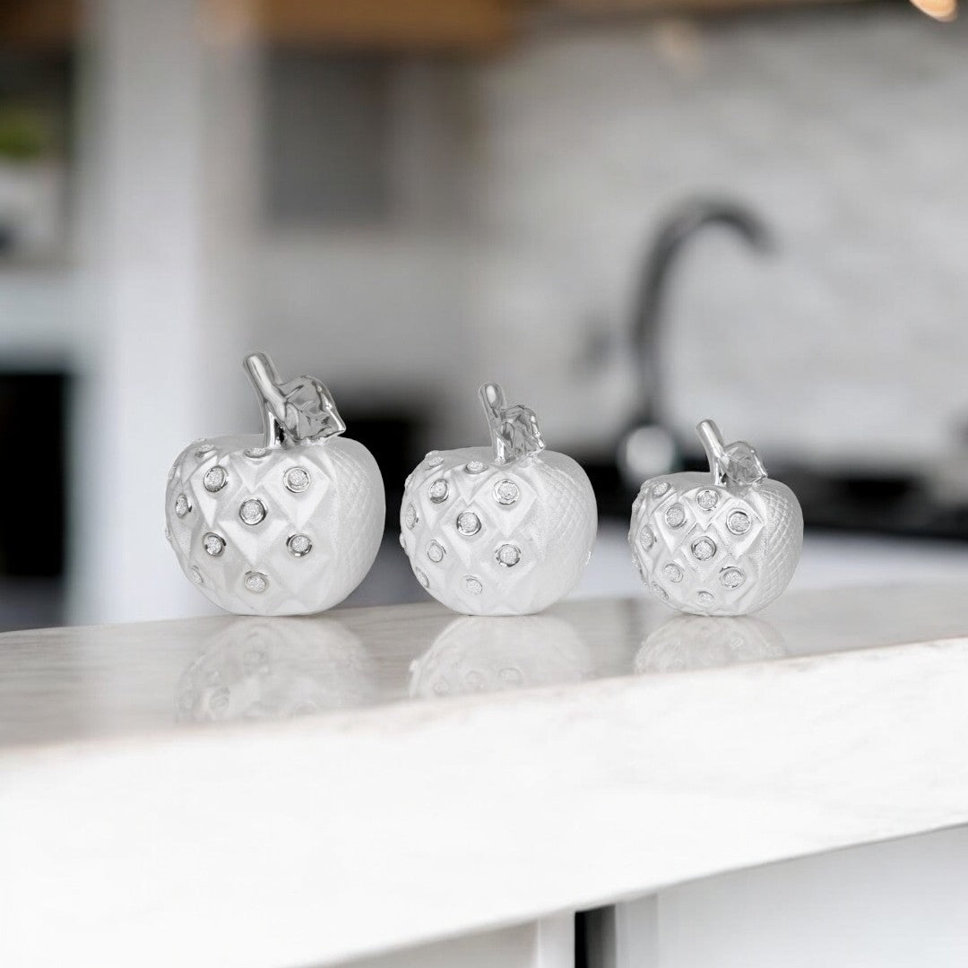 3pc Silver Apple Decor Set