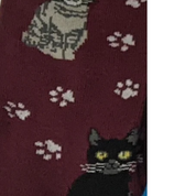 Foozys Socks Cat Lovers Socks