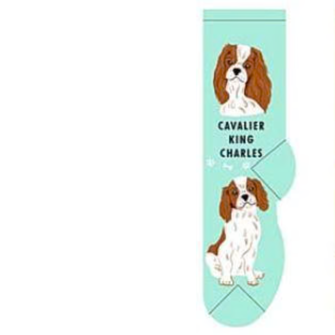 Foozys Socks Dog Lovers Socks