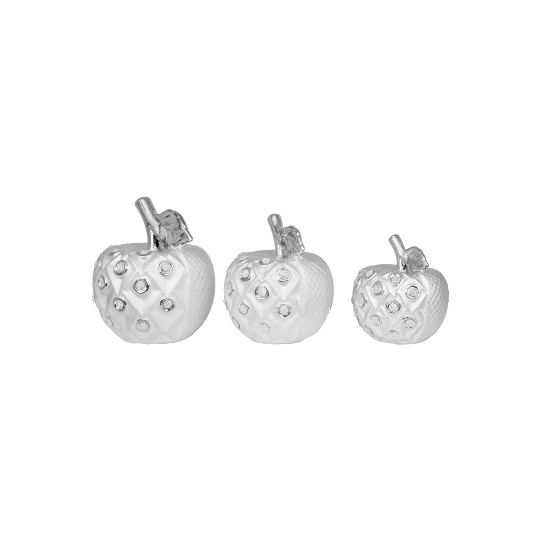 3pc Silver Apple Decor Set