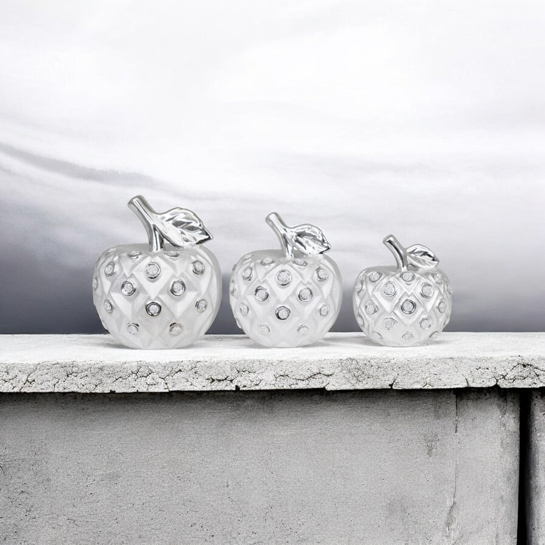 3pc Silver Apple Decor Set