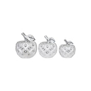 3pc Silver Apple Decor Set