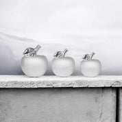 3pc Silver Apple Decor Set