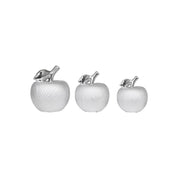 3pc Silver Apple Decor Set